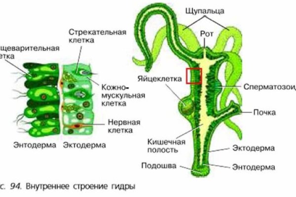 Кракен маркет свежие ссылки